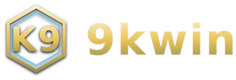 9kwin logo